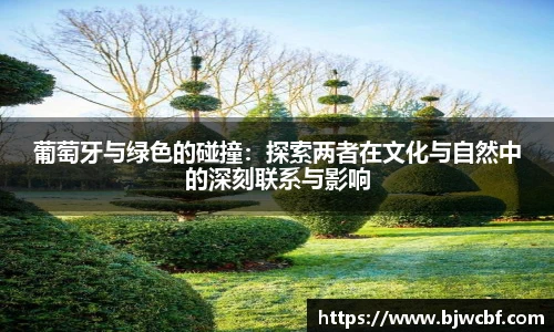 zoty中欧体育